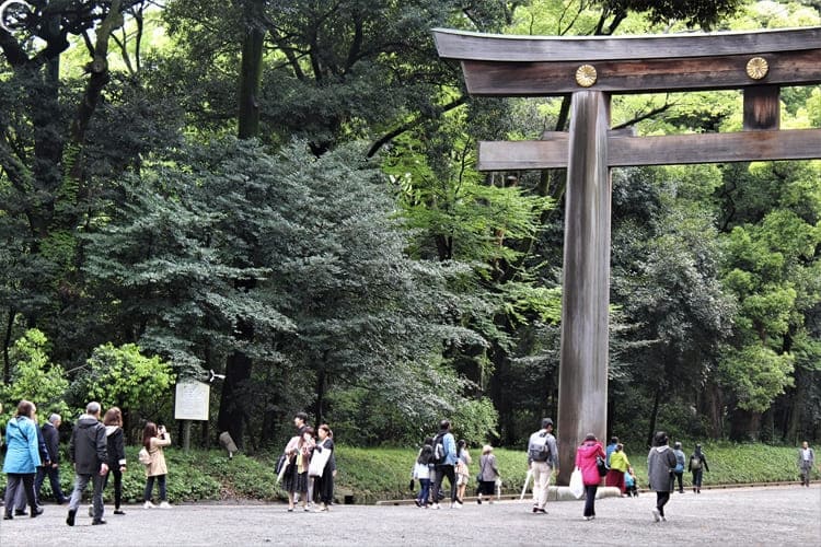 Visitar Tokio: Santuario Meiji (foto propia)