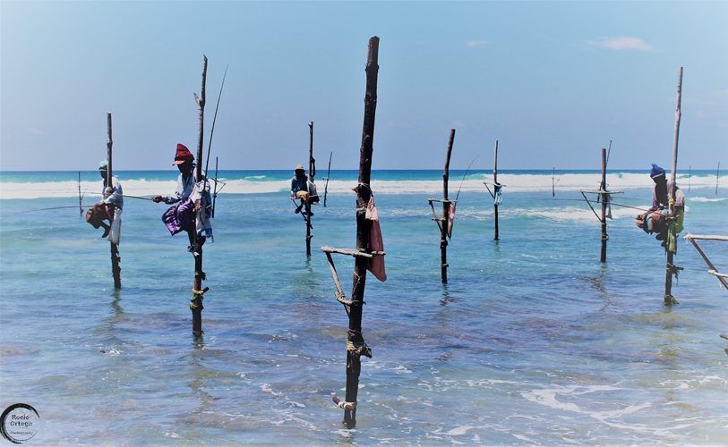 Pescadores peculiares Sri Lanka