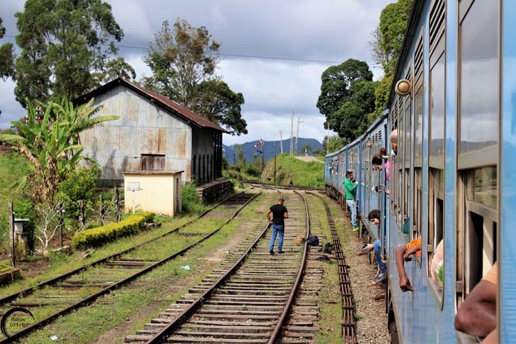 Viajar sola a Sri Lanka